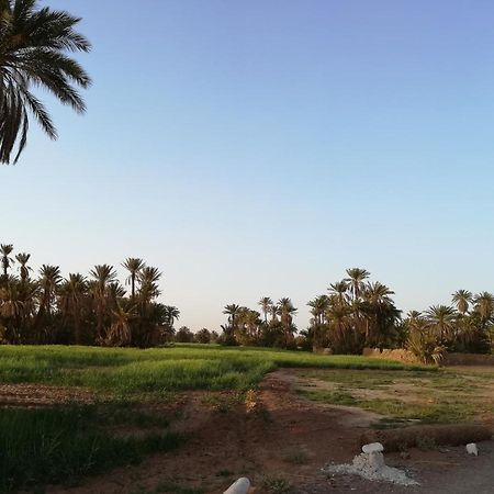 Kasbah Les Alizes Du Desert M’hamid El Ghizlane Exterior foto