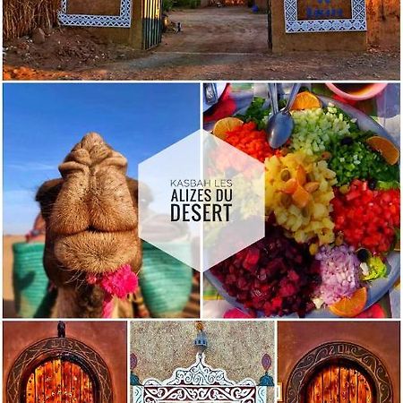 Kasbah Les Alizes Du Desert M’hamid El Ghizlane Exterior foto