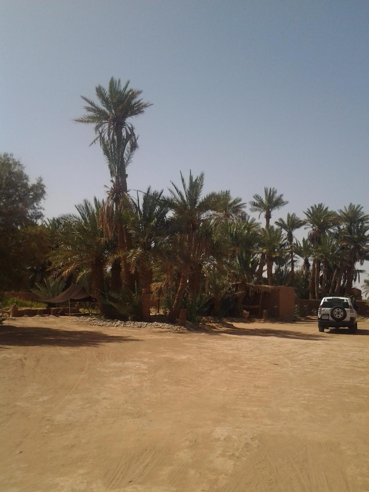 Kasbah Les Alizes Du Desert M’hamid El Ghizlane Exterior foto