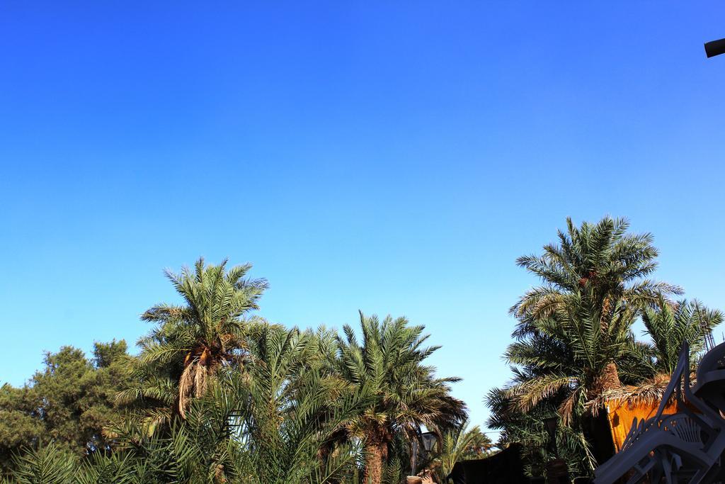 Kasbah Les Alizes Du Desert M’hamid El Ghizlane Exterior foto