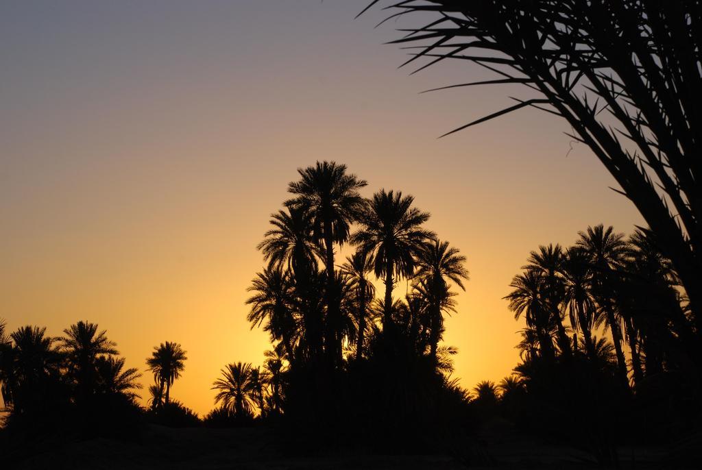 Kasbah Les Alizes Du Desert M’hamid El Ghizlane Exterior foto
