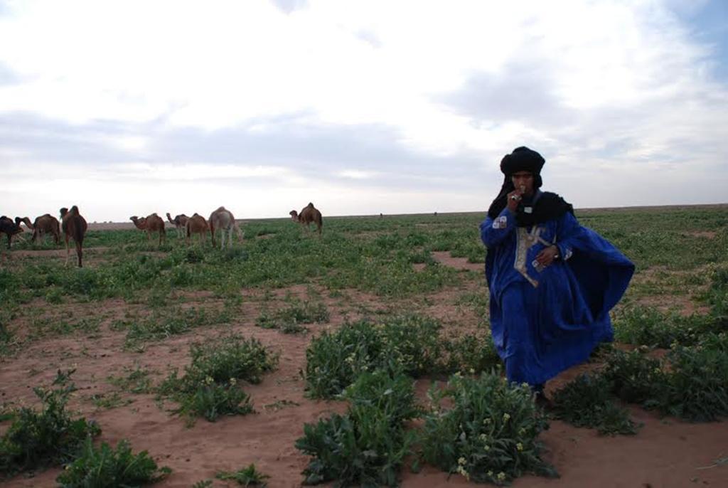 Kasbah Les Alizes Du Desert M’hamid El Ghizlane Exterior foto