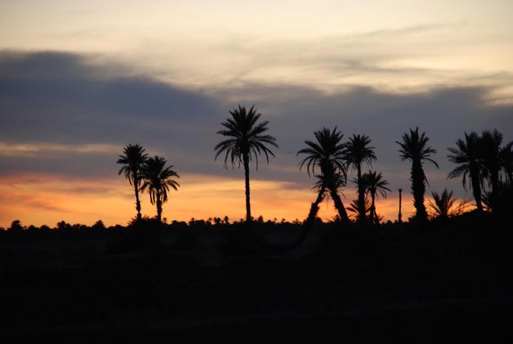 Kasbah Les Alizes Du Desert M’hamid El Ghizlane Exterior foto