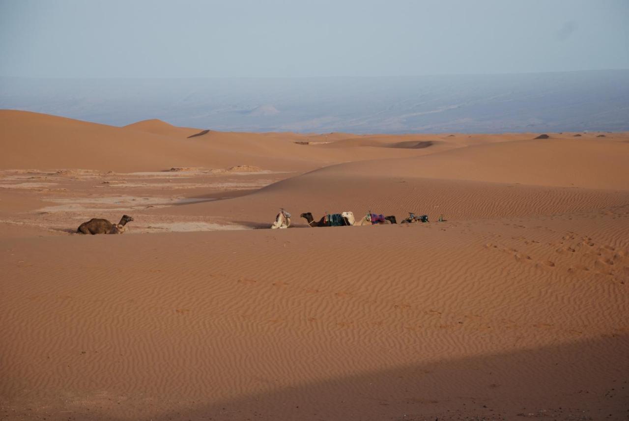 Kasbah Les Alizes Du Desert M’hamid El Ghizlane Exterior foto