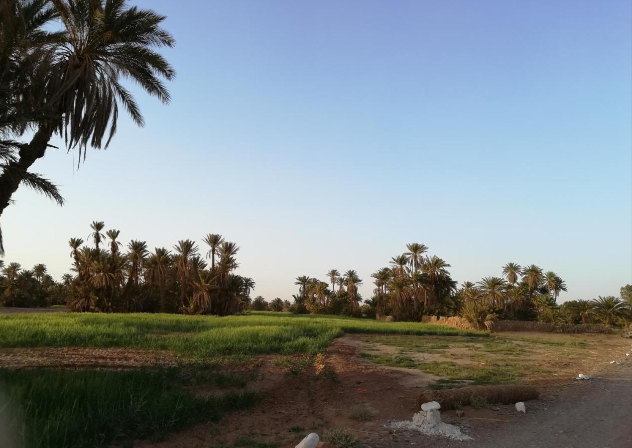 Kasbah Les Alizes Du Desert M’hamid El Ghizlane Exterior foto