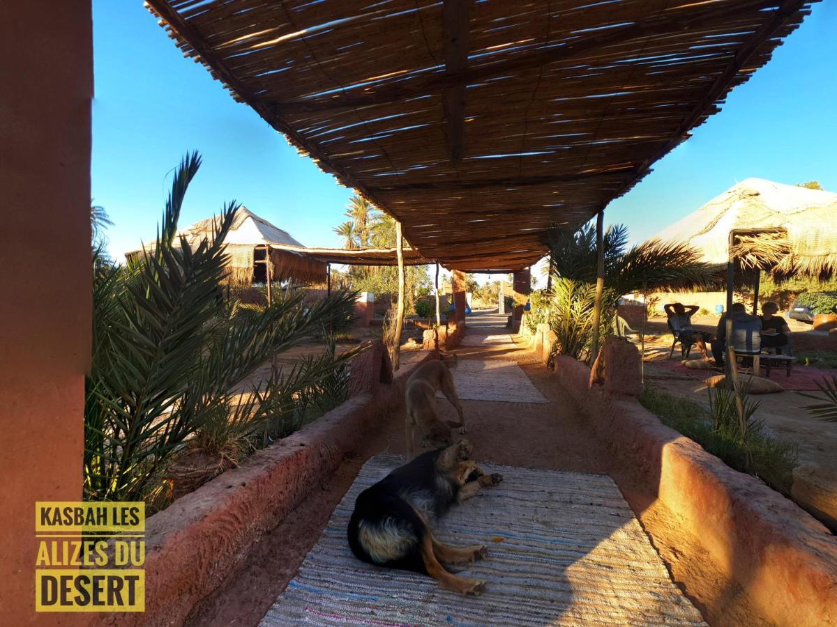 Kasbah Les Alizes Du Desert M’hamid El Ghizlane Exterior foto